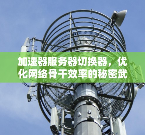 加速器服务器切换器,优化网络骨干效率的秘密武器 加速器服务器切换器,优化网络骨干效率的秘密武器