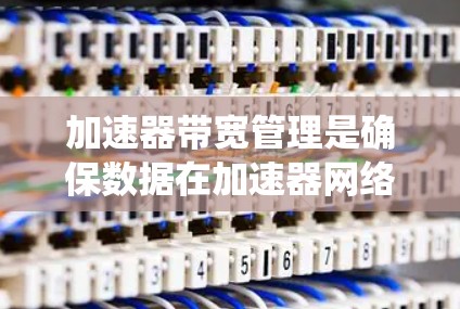 加速器带宽管理是确保数据在加速器网络中的高效流动和利用的关键过程，涉及多个关键环节和策略。以下是对加速器带宽管理的系统性总结