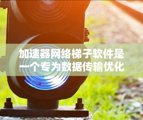 加速器网络梯子软件是一个专为数据传输优化设计的高级工具，旨在通过智能算法和高效协议，显著提升数据在网络环境中的传输速度和效率。以下是对该软件的详细分析