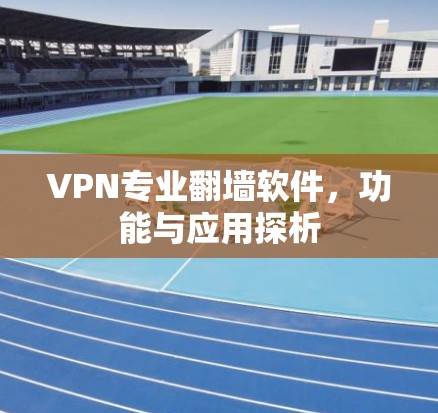 VPN专业翻墙软件，功能与应用探析