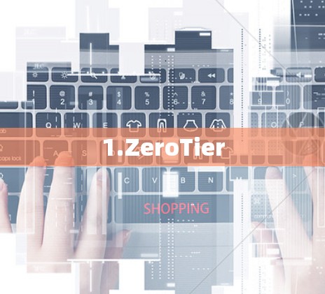 1.ZeroTier