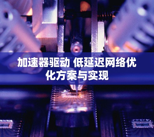 加速器驱动 低延迟网络优化方案与实现