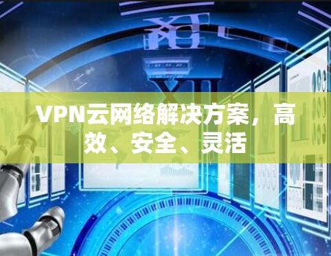 VPN云网络解决方案，高效、安全、灵活