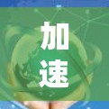加速器网络资源服务，性能优化与应用场景分析