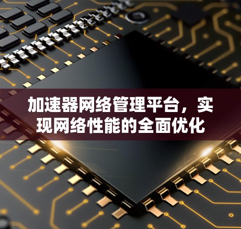 加速器网络管理平台，实现网络性能的全面优化