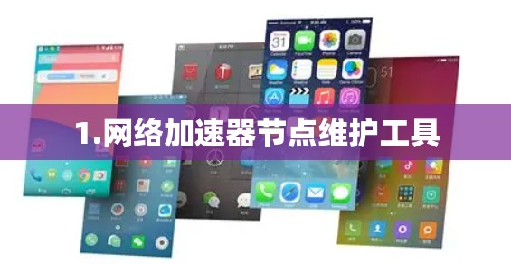 1.网络加速器节点维护工具