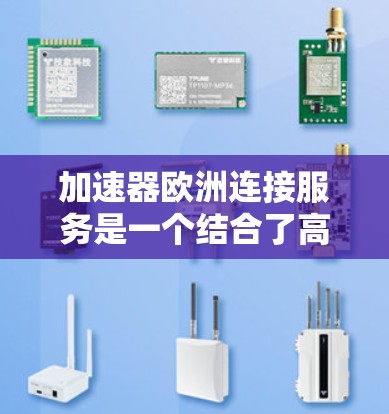 加速器欧洲连接服务是一个结合了高性能硬件加速和优化的数据传输网络，旨在帮助用户在欧洲内部高效、安全地处理和传输大数据。以下是对该服务的详细分析
