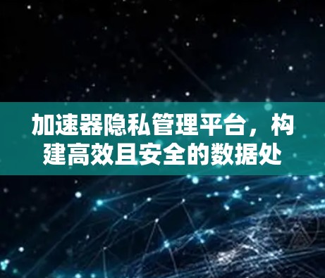 加速器隐私管理平台，构建高效且安全的数据处理环境