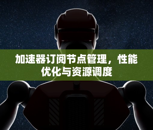 加速器订阅节点管理，性能优化与资源调度