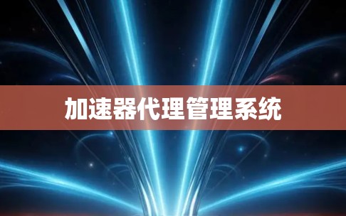 加速器代理管理系统