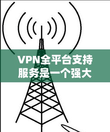 VPN全平台支持服务是一个强大的工具，确保用户在各种操作系统和设备上都能顺畅地使用VPN，享受安全性和隐私保护。以下是对VPN全平台支持服务的详细分析和总结