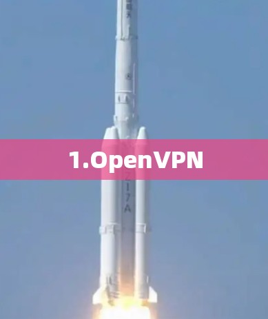 1.OpenVPN