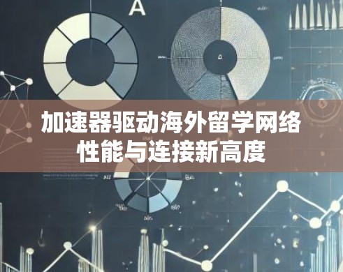 加速器驱动海外留学网络性能与连接新高度