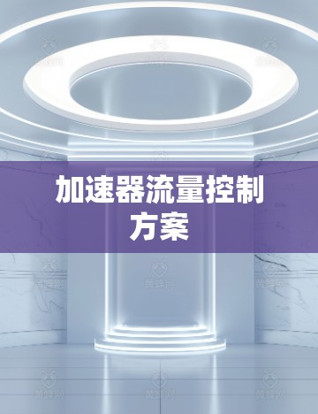 加速器流量控制方案