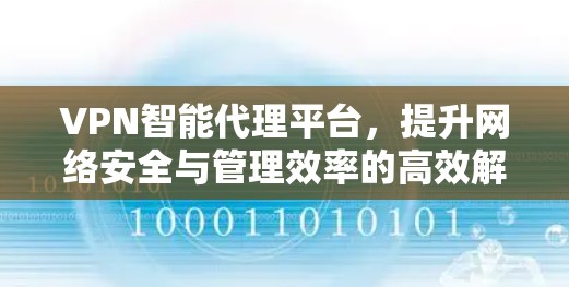 VPN智能代理平台，提升网络安全与管理效率的高效解决方案