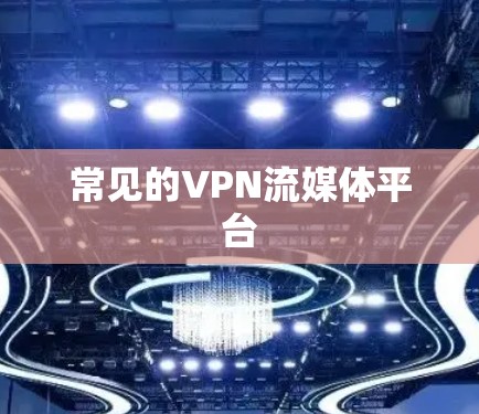 常见的VPN流媒体平台