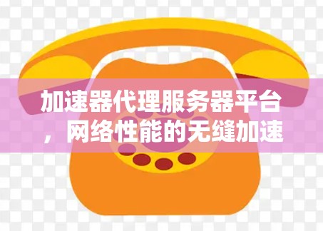 加速器代理服务器平台，网络性能的无缝加速与资源优化