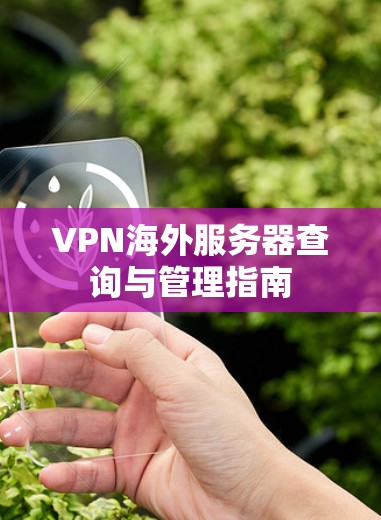 VPN海外服务器查询与管理指南