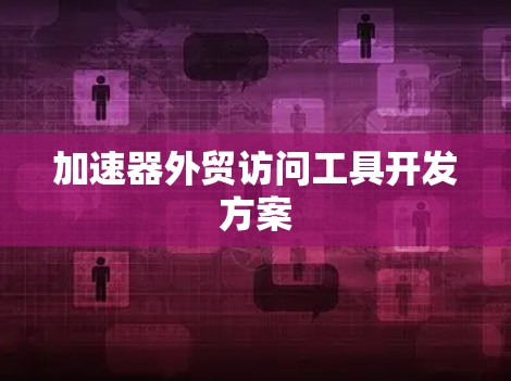 加速器外贸访问工具开发方案