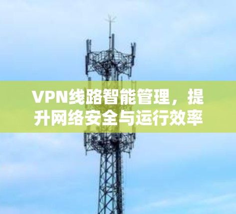 VPN线路智能管理，提升网络安全与运行效率