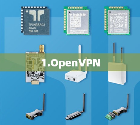 1.OpenVPN