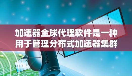 加速器全球代理软件是一种用于管理分布式加速器集群的系统，旨在优化数据处理和推理性能。以下是对该软件的详细分析