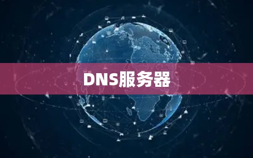 DNS服务器