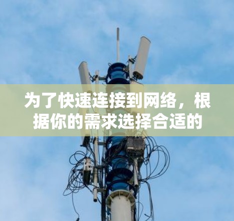 为了快速连接到网络，根据你的需求选择合适的工具，并按照以下步骤操作