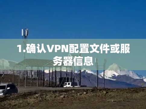 1.确认VPN配置文件或服务器信息