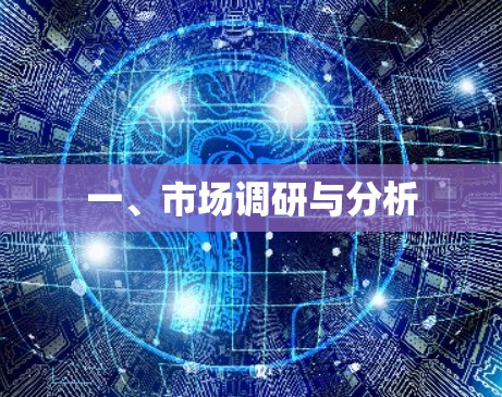 一、市场调研与分析
