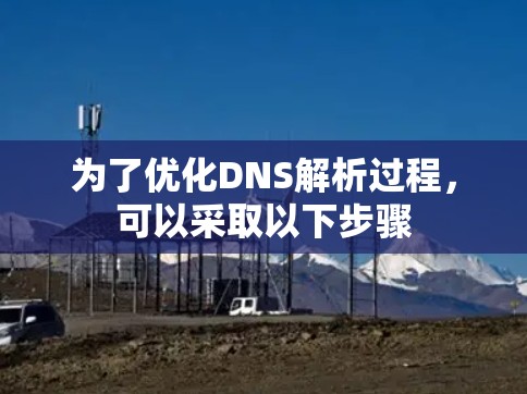 为了优化DNS解析过程，可以采取以下步骤