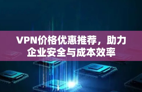 VPN价格优惠推荐，助力企业安全与成本效率