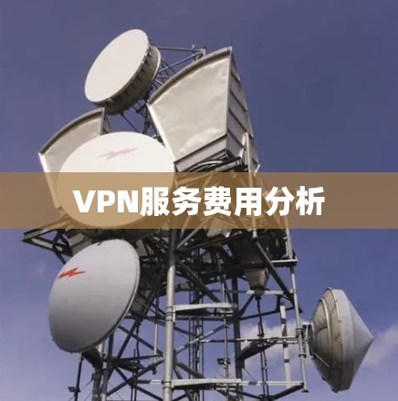 VPN服务费用分析