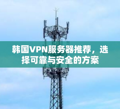 韩国VPN服务器推荐，选择可靠与安全的方案