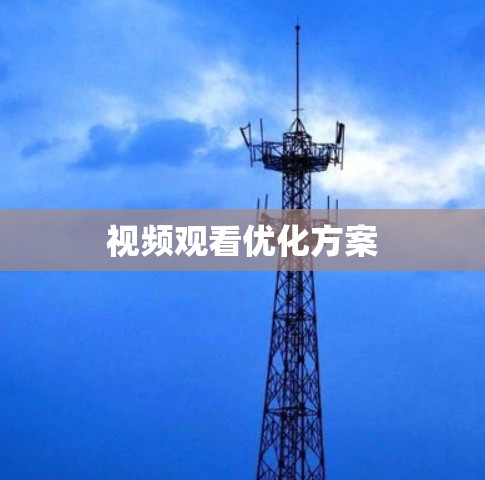 视频观看优化方案