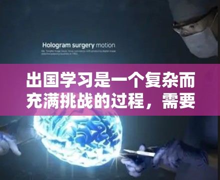 出国学习是一个复杂而充满挑战的过程，需要细致的规划和准备。以下是一个结构化的网络方案，帮助你高效地完成留学准备工作
