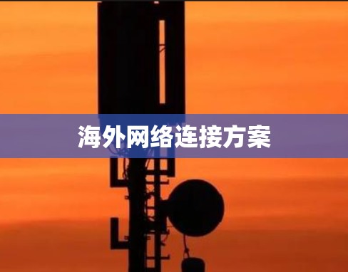 海外网络连接方案
