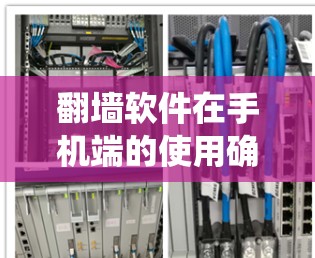 翻墙软件在手机端的使用确实可以帮助绕过网络限制，但需要注意安全和合法性。以下是使用翻墙软件在手机端的分步指南