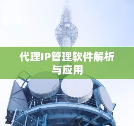 代理IP管理软件解析与应用